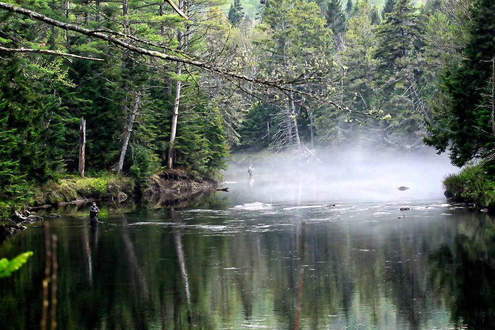 Cascades Forestières
