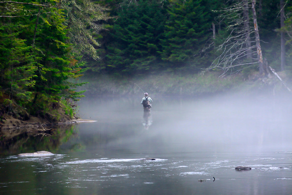Pêcheur dans la Brume