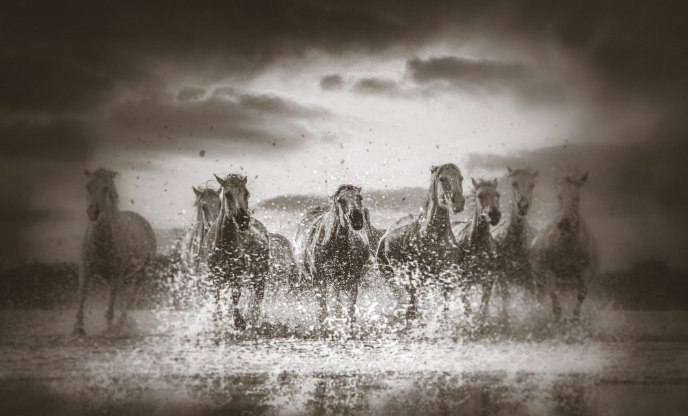 Course dans la Brume