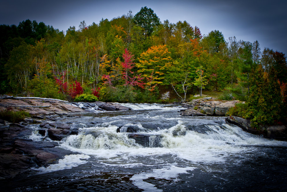 Rivière Forestière