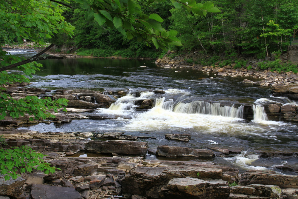 Cascade Forestière
