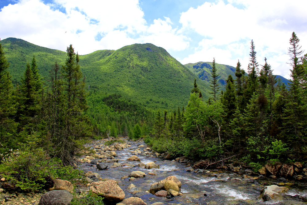 Mont Albert Gaspésie II