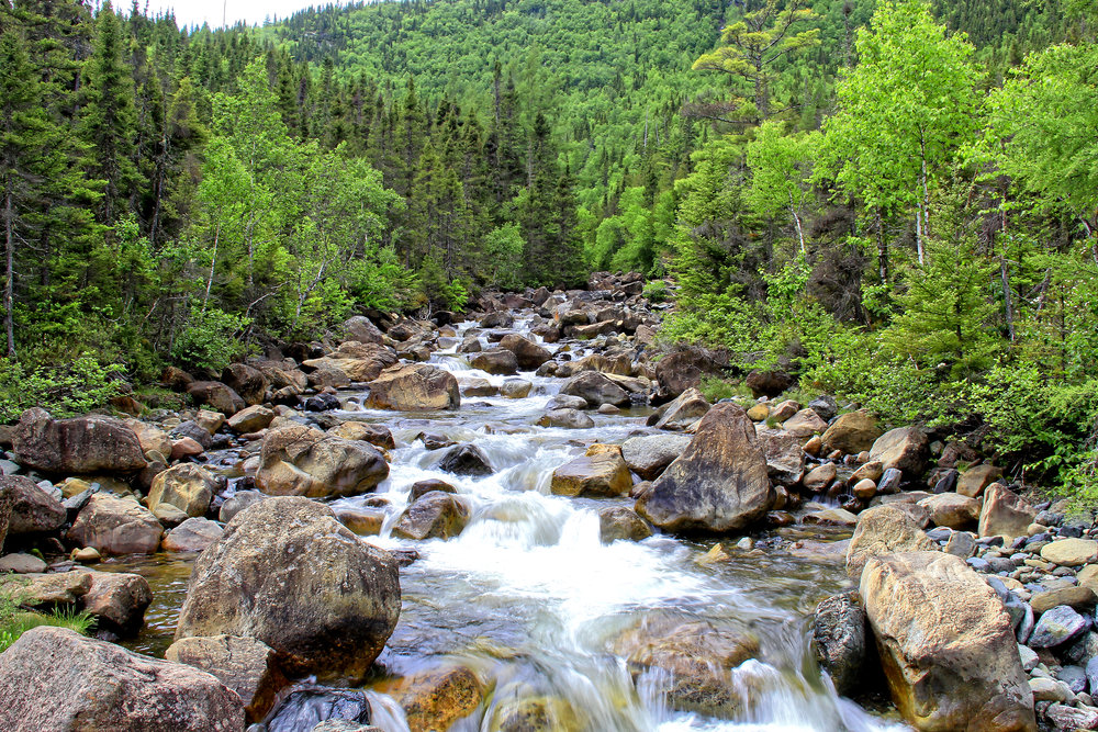 Mont Albert Gaspésie IV